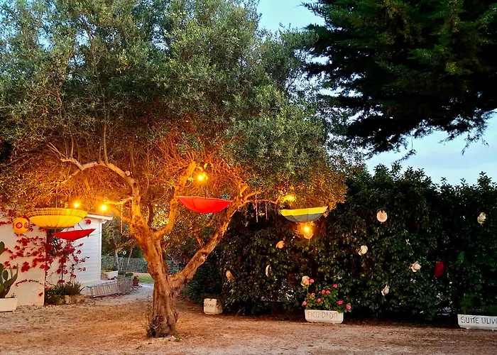 B&B Mirella