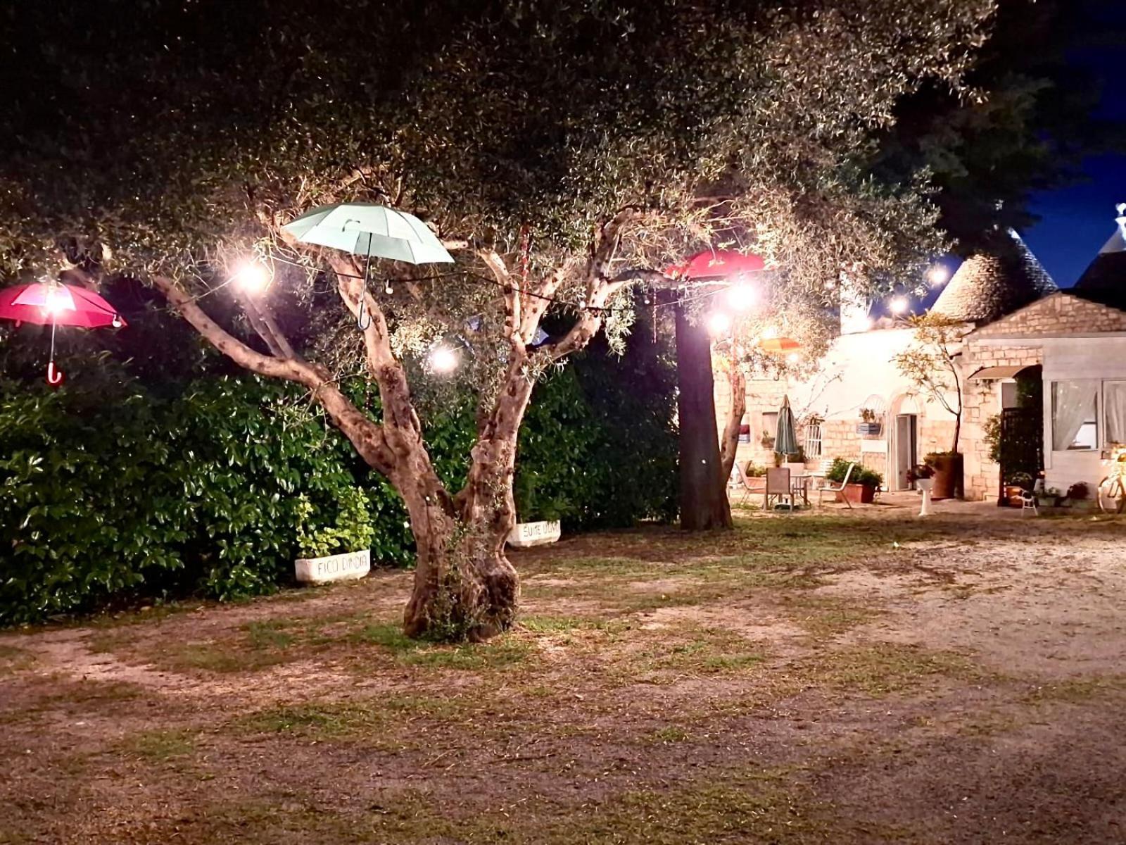 Bed & Breakfast Mirella