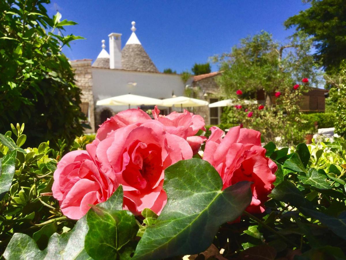 Bed & Breakfast Mirella Alberobello